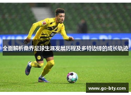 全面解析桑乔足球生涯发展历程及多特边锋的成长轨迹