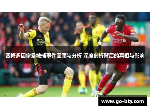 塞梅多因家暴被捕事件回顾与分析 深度剖析背后的真相与影响