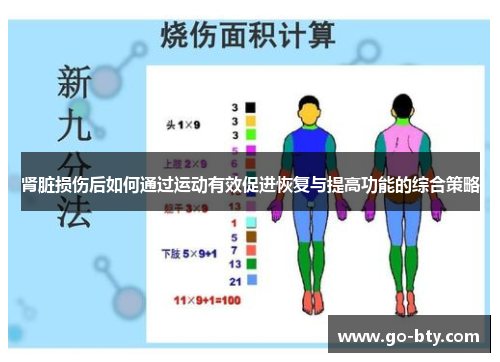 肾脏损伤后如何通过运动有效促进恢复与提高功能的综合策略