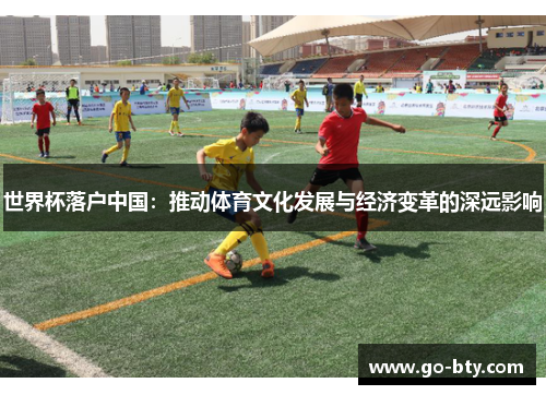 世界杯落户中国：推动体育文化发展与经济变革的深远影响