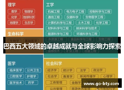 巴西五大领域的卓越成就与全球影响力探索
