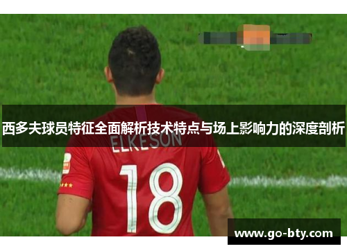 西多夫球员特征全面解析技术特点与场上影响力的深度剖析