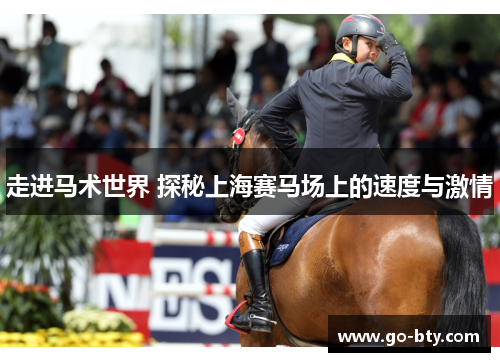 走进马术世界 探秘上海赛马场上的速度与激情