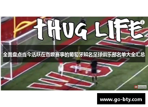 全面盘点当今活跃在各级赛事的葡萄牙知名足球俱乐部名单大全汇总 全面盘点当今活跃在各级赛事的葡萄牙知名足球俱乐部名单大全汇总