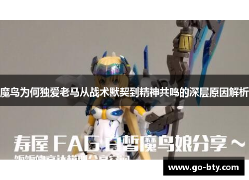 魔鸟为何独爱老马从战术默契到精神共鸣的深层原因解析